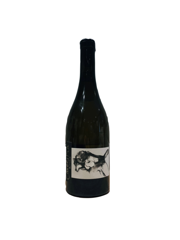 Bourgogne. Domaine Pattes Loup. Thomas Pico. Cuvée "Les Butteaux". 2018.